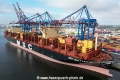 MSC Quitterie (KB-D230624-02).jpg