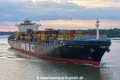 MSC Florentina KH-210925-01.jpg