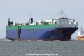 Sapphire Ray MS-K270605.jpg