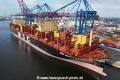 MSC Quitterie (KB-D230624-01).jpg