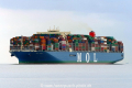 MOL Trust (KK-240717-1).jpg