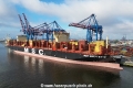 MSC Quitterie (KB-D230624-04).jpg