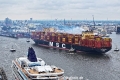 MSC Quitterie 220624-14.jpg
