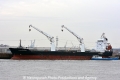 Thorco Aurora (KB-D131213-01).jpg