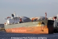 Nordstrength (JS-010909-04).jpg