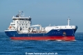 Halti SH-131225-01.jpg