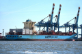 Maersk Lamanai OS-050516-15.jpg