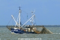 Erika NOR208 (MB-110526-1).jpg