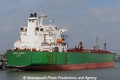 Gulf Cobalt (KB-D010411-01).jpg