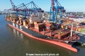 MSC Taylor (KB-D110525-03).jpg