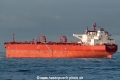 Nordic Cygnus SH-301119-01.jpg
