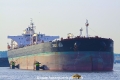 Nordic Vega (JS-070511-01).jpg