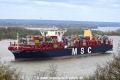MSC Tina 050417-07.jpg