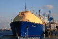 Wilgas (JS-030914-02).jpg