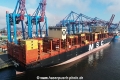MSC Quitterie (KB-D230624-08).jpg