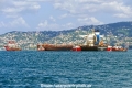 Deyi Endurance OK-290826-5.jpg