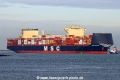 MSC Edna TL-040226-1.jpg