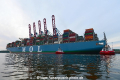 MOL Triumph 150517-125.jpg