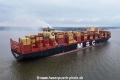 MSC Quitterie KH-220624-7.jpg