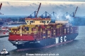 MSC Quitterie 220624-09.jpg