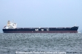 MSC Anastasia (MS-051012-10).jpg