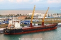 Bulker Bee 10 (LW-260923-04).jpg