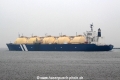Wilgas (JS-050914-17).jpg