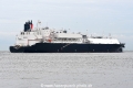 Venture Gator JG-081024-4.jpg