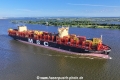 MSC Quitterie 230624-09.jpg