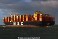 MSC Amelia TL-291121-09.jpg