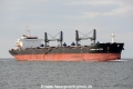 Common Calypso JG-200916-01.jpg