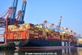 MSC Viola (KB-D090325-01).jpg