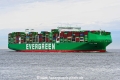 Ever Eco JG-180426-3.jpg