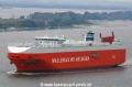 Tamerlane (210803-3).jpg