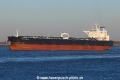 Ottoman Courtesy TL-270222-3.jpg