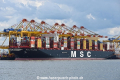 MSC Guelsuen OS-200819-24.jpg