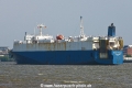 Single Eagle 230517-05.jpg