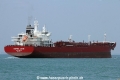 Hafnia Lene (MS-310316-11).jpg