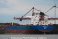 Nord Dorado 100512-07.jpg