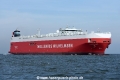 Tamerlane OS-160918-08.jpg