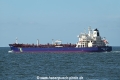 Hafnia Lupus OS-070822-13.jpg