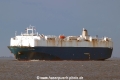 Silver Sun (MM-060413-1).jpg