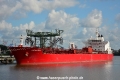 Hafnia Soya (KB-D170717-01).jpg