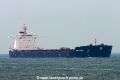 New York (KB-D150510-01).jpg