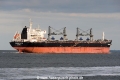 Common Calypso JG-200916-02.jpg