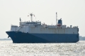 Single Eagle 230517-02.jpg