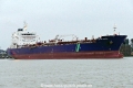 Hafnia Sunda (OK-280322-0).jpg