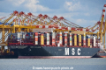 MSC Guelsuen OS-200819-15.jpg