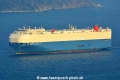 Swallow Ace HK-090117-1.jpg