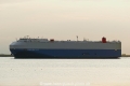 Sunshine Ace (KK-080919-1).jpg